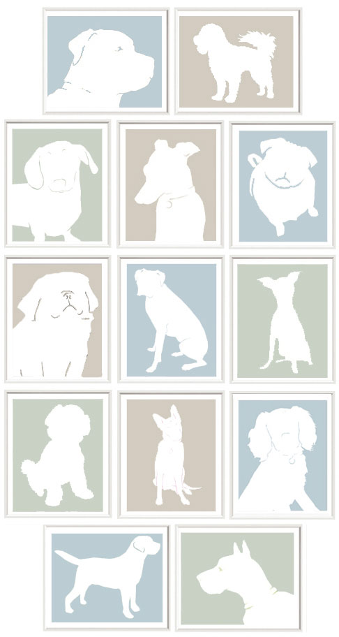 newpet portraits for web