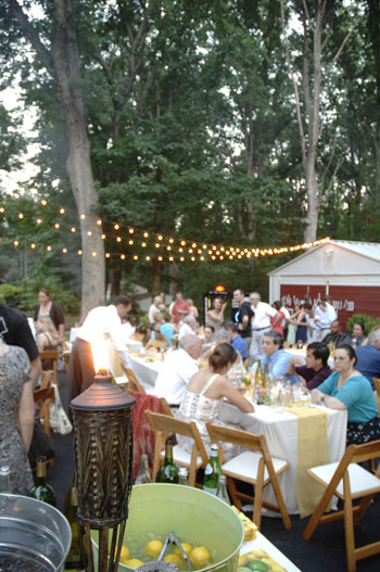 Backyard Wedding