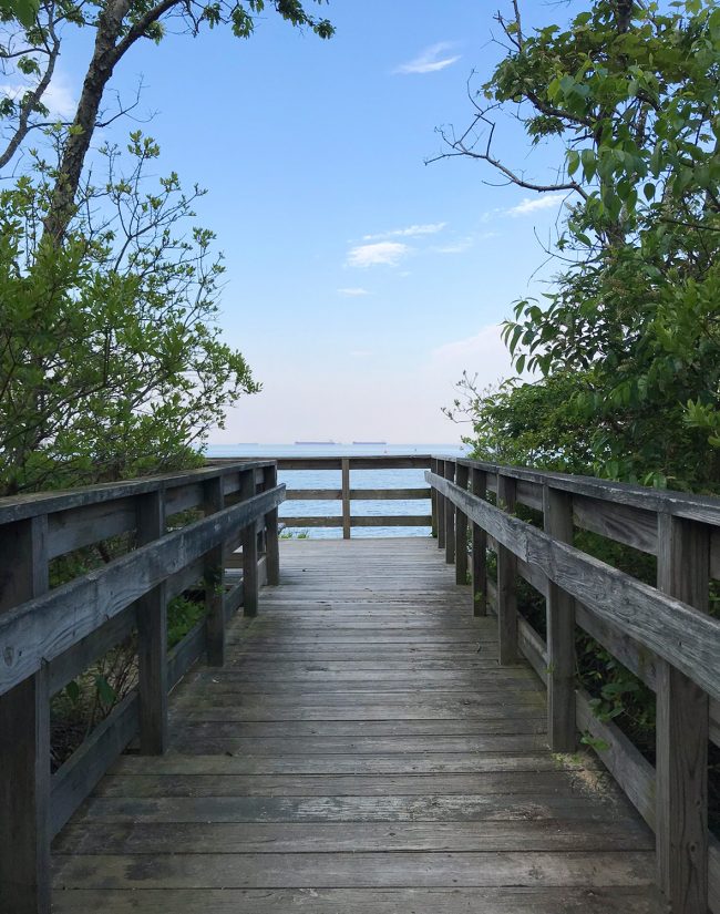 boardwalk hike in cape charles natural preserve area