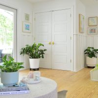 9 Easy Low-Light Indoor Plants