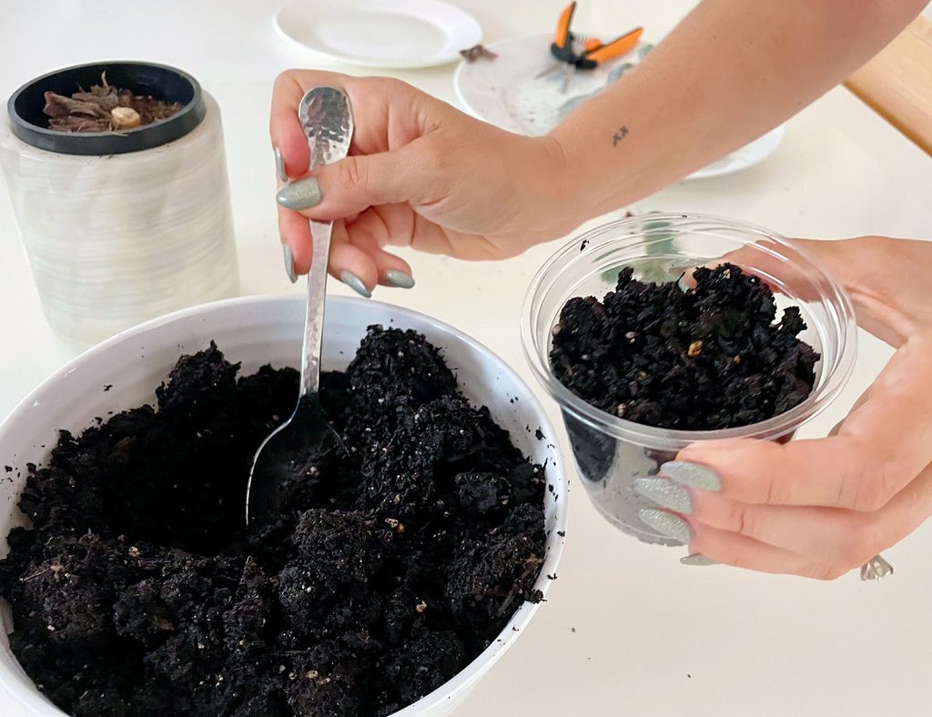 Filling Clear Nursery Pot With Cactus Mix Potting Soil