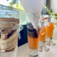 4 DIY Fruit Fly Traps Close Up