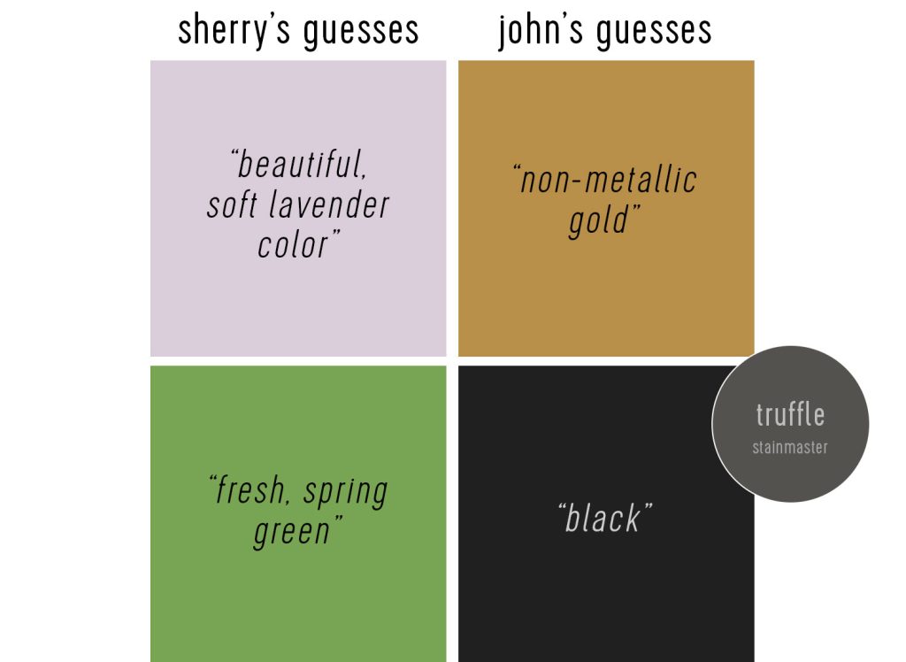 John and Sherry Guesses for 2025 Color of the Year