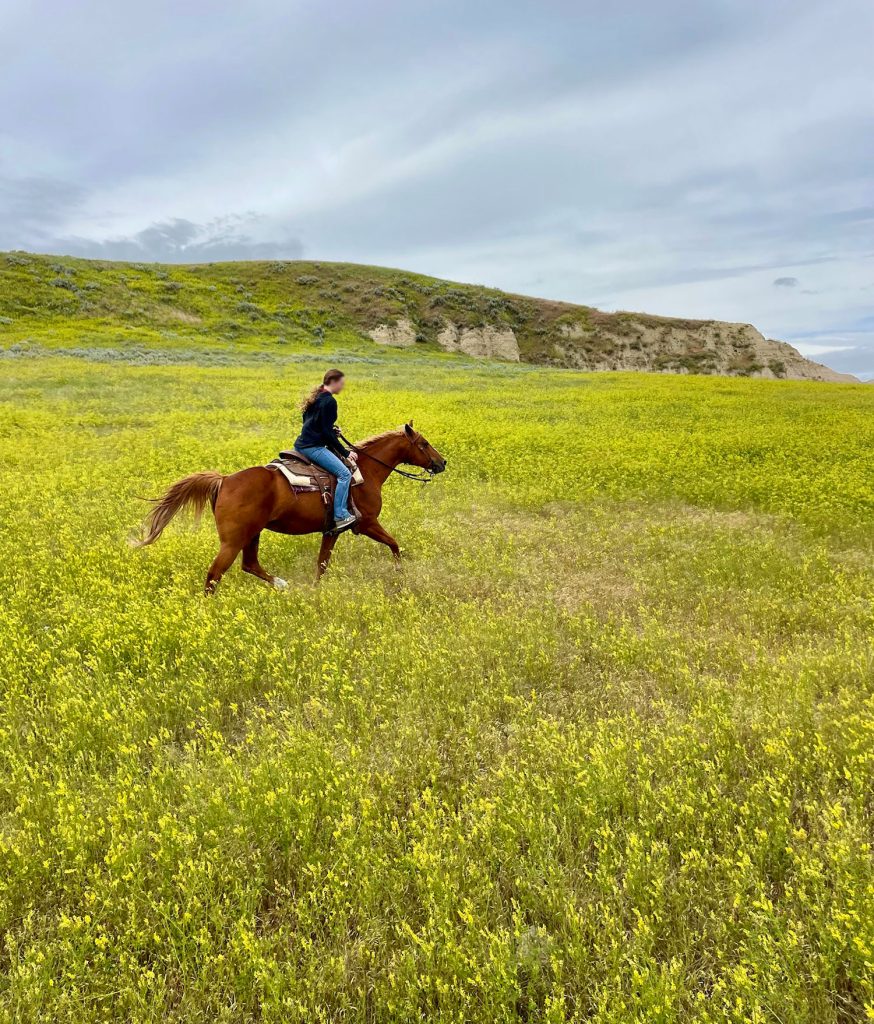 Girl On Horseback In Field Of Yellow Wildflowers In South Dakota