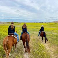 A Summer Trip To South Dakota