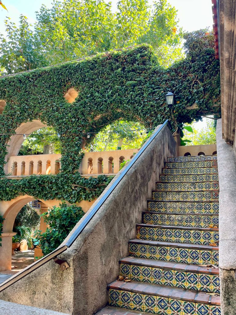 Beautiful Ivy Covered Stairs In Sedona Arizona