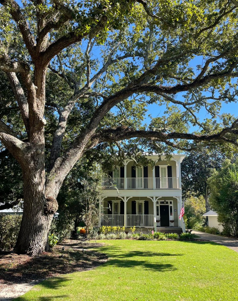 Maison de style reine Anne avec grand arbre à Ocean Springs Mississippi