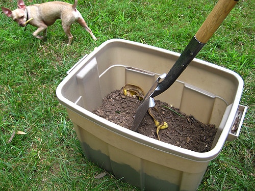How to Choose the Best Kitchen Compost Bin for Your Needs